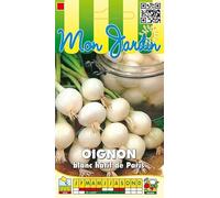 Sachet de graines de Oignon blanc hâtif de Paris - 3 g - légume racine - LES GRAINES BOCQUET