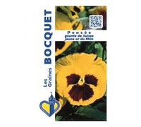 Sachet de graines de Pensée géante de Suisse jaune Or du Rhin - 0,5 g - fleur bisannuelle - LES GRAINES BOCQUET