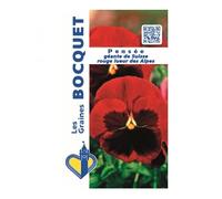 Sachet de graines de Pensée géante de Suisse rouge Lueur des Alpes - 0,5 g - fleur bisannuelle - LES GRAINES BOCQUET