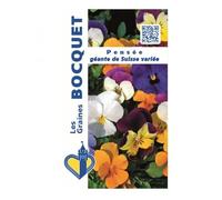 Sachet de graines de Pensée géante de Suisse variée - 0,5 g - fleur bisannuelle - LES GRAINES BOCQUET