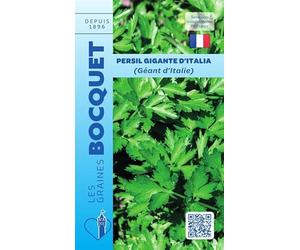 Sachet de graines de Persil simple géant d'Italie - 5 g - légume feuille - LES GRAINES BOCQUET