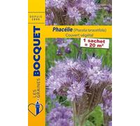 Sachet de graines de Phacélie (Phacelia tanacetifolia) - 100 g - LES GRAINES BOCQUET