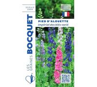 Sachet de graines de Pied d'alouette Impérial des blés varié - 1,5 g - fleur annuelle - LES GRAINES BOCQUET
