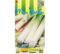 Sachet de graines de Poireau géant précoce - 4 g - légume bulbe - LES GRAINES BOCQUET