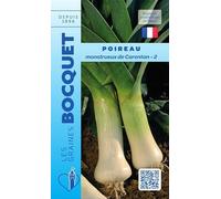 Sachet de graines de Poireau monstrueux de Carentan-2-4 g - légume bulbe - LES GRAINES BOCQUET