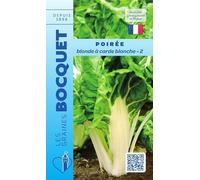 Sachet de graines de Poirée blonde à carde blanche-2-6 g - légume tige - LES GRAINES BOCQUET