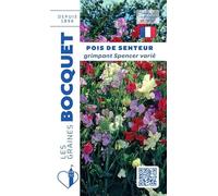 Sachet de graines de Pois de senteur grimpant Spencer varié - 6 g - fleur annuelle - LES GRAINES BOCQUET