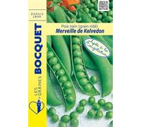 Sachet de graines de Pois nain Merveille de Kelvédon 200g - 200 g - Pois à grains ridés - LES GRAINES BOCQUET
