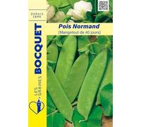 Sachet de graines de Pois Normand mangetout 40 jours - 150g - 150 g - Pois nain mangetout - LES GRAINES BOCQUET