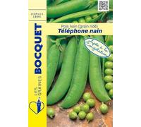 Sachet de graines de Pois Téléphone nain (Onward) 200g - 200 g - Pois à grains ridés - LES GRAINES BOCQUET