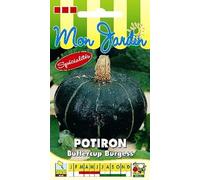 Sachet de graines de Potiron Buttercup Burgess - 5 g - légume fruit - LES GRAINES BOCQUET