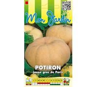 Sachet de graines de Potiron jaune Gros de Paris - 7 g - légume fruit - LES GRAINES BOCQUET
