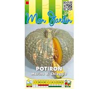 Sachet de graines de Potiron Marina Di Chioggia - 3 g - légume fruit - LES GRAINES BOCQUET