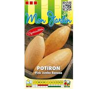 Sachet de graines de Potiron Pink Jumbo Banana - 3 g - légume fruit - LES GRAINES BOCQUET