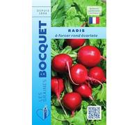 Sachet de graines de Radis à forcer rond écarlate - 10 g - LES GRAINES BOCQUET