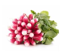 Sachet de graines de Radis Diablus Hyb F1- Les Graines Bocquet