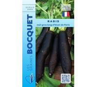 Sachet de graines de Radis noir d'hiver de Paris - 10 g - légume racine - LES GRAINES BOCQUET
