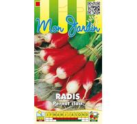Sachet de graines de Radis Pernot clair - 10 g - légume racine - LES GRAINES BOCQUET