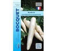 Sachet de graines de Radis rave blanche transparente - 10 g - légume racine - LES GRAINES BOCQUET
