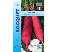 Sachet de graines de Radis rose d'hiver de Chine - 10 g - légume racine - LES GRAINES BOCQUET