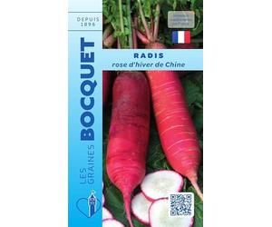 Sachet de graines de Radis rose d'hiver de Chine - 10 g - légume racine - LES GRAINES BOCQUET