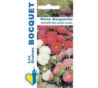 Sachet de graines de Reine Marguerite Merveille des Naines variée - 0,8 g - fleur annuelle - LES GRAINES BOCQUET