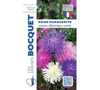 Sachet de graines de Reine Marguerite Unicum - Electrique variée - 0,8 g - fleur annuelle - LES GRAINES BOCQUET