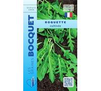Sachet de graines de Roquette cultivée - 5 g - légume feuille - LES GRAINES BOCQUET