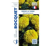 Sachet de graines de Rose d'Inde demi naine jaune - 1,5 g - fleur annuelle - LES GRAINES BOCQUET