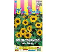 Sachet de graines de Soleil tournesol nain Sunspot jaune à coeur noir - 3 g - LES GRAINES BOCQUET