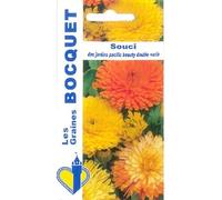 Sachet de graines de Souci des jardins Pacific Beauty double varié - 3 g - LES GRAINES BOCQUET