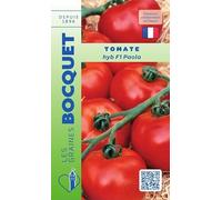 Sachet de graines de Tomate hybride F1 Paola - 0,2 g - légume fruit - LES GRAINES BOCQUET