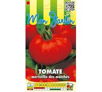 Sachet de graines de Tomate Merveille des marchés - 0,5 g - LES GRAINES BOCQUET