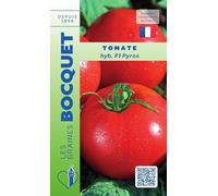 Sachet de graines de Tomate Pyros Hybride F1-0,10g - Les Graines Bocquet