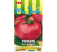 Sachet de graines de Tomate Rose de Berne (Berner Rose) - 0,2 g - légume fruit - LES GRAINES BOCQUET