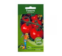 Tomate Saint Pierre