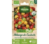 Sachet de Graines de Tomates Cerises Bio Vilmorin: Couleurs et Saveurs en Mélange