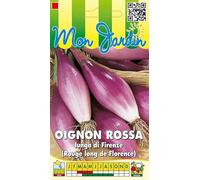 Sachet de graines d'Oignon Rouge Long Doux De Florence - 4 g - Les Graines Bocquet