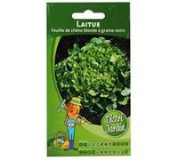 Sachet De Graines Laitue A Couper Feuille Ch Äne https://www.fnac.com/mp44818151/Sachet-De-Graines-Laitue-A-Couper-Feuille-Ch-Ane/w-4?oref=d77f42f2-e682-6ccb-3b4e-cb56a75bc2a2