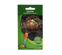 Sachet De Graines Laitue Merveille Des 4 Saisons