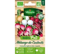 Sachet de graines Radis Mélange de Couleurs BIO