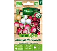 Sachet de graines Radis Mélange de Couleurs BIO-