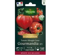VILMORIN Tomate Gourmandia F1 Vilmorin série 3