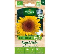 Vilmorin - Sachet de graines Tournesol Royal Nain BIO