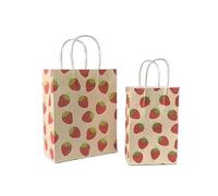 Sachet En Papier Avec Poignée 10pcs Foral Fruit Paper Bag With Handle Multifunction Christams Birthday Party Favor Decoration Packing Bags(Color3,27x21x11cm)