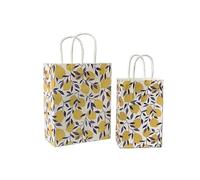 Sachet En Papier Avec Poignée 10pcs Foral Fruit Paper Bag With Handle Multifunction Christams Birthday Party Favor Decoration Packing Bags(Color2,27x21x11cm)