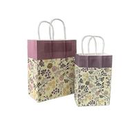 Sachet En Papier Avec Poignée 10pcs Foral Fruit Paper Bag With Handle Multifunction Christams Birthday Party Favor Decoration Packing Bags(Color22,27x21x11cm)