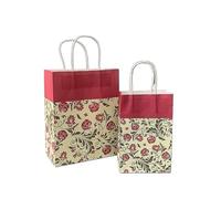 Sachet En Papier Avec Poignée 10pcs Foral Fruit Paper Bag With Handle Multifunction Christams Birthday Party Favor Decoration Packing Bags(Color17,21x13x8cm)