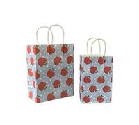 Sachet En Papier Avec Poignée 10pcs Foral Fruit Paper Bag With Handle Multifunction Christams Birthday Party Favor Decoration Packing Bags(Color5,27x21x11cm)