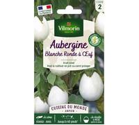 VILMORIN-Graines d'aubergine blanche ronde à œuf Vilmorin - graines à semer